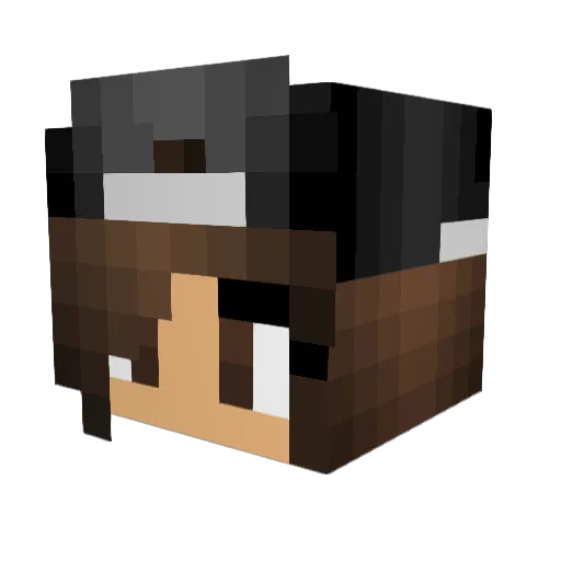 AnimalGirl119 Minecraft avatar head, 3D render