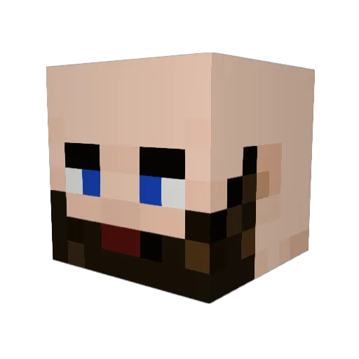 AnimalKing574 Minecraft avatar head, 3D render