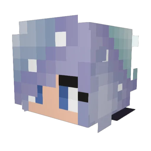 AnimalKnight549 Minecraft avatar head, 3D render