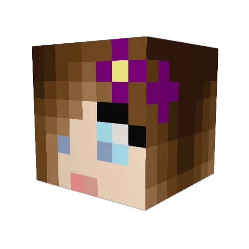 AnimalLover0402 Minecraft avatar head, 3D render