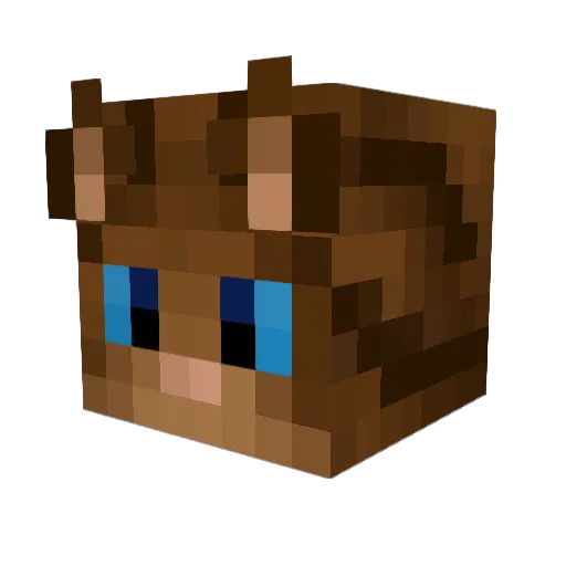 AnimalLover541 Minecraft avatar head, 3D render