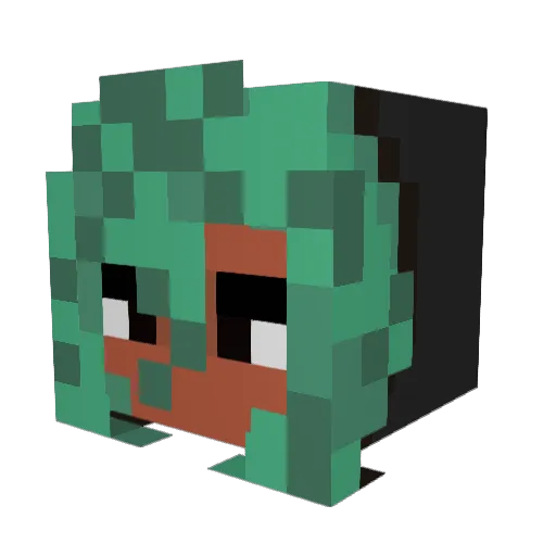 AnimalLoverUSA Minecraft avatar head, 3D render