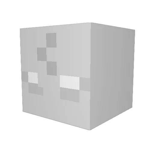 AnimalPayton Minecraft avatar head, 3D render