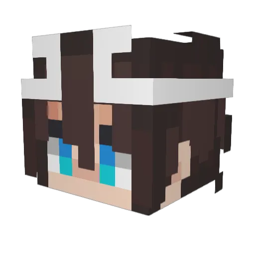AnimalSundew323 Minecraft avatar head, 3D render
