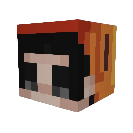 Animalillo14 Minecraft avatar head, 3D render