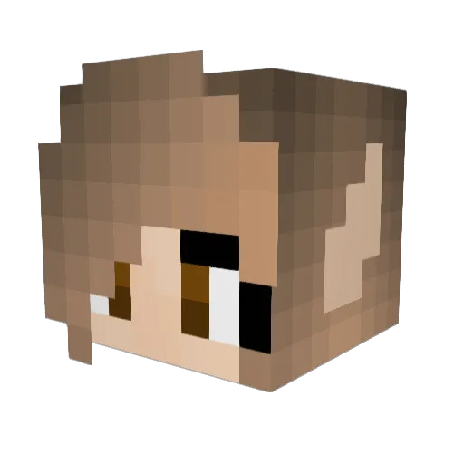 Animalmad72 Minecraft avatar head, 3D render