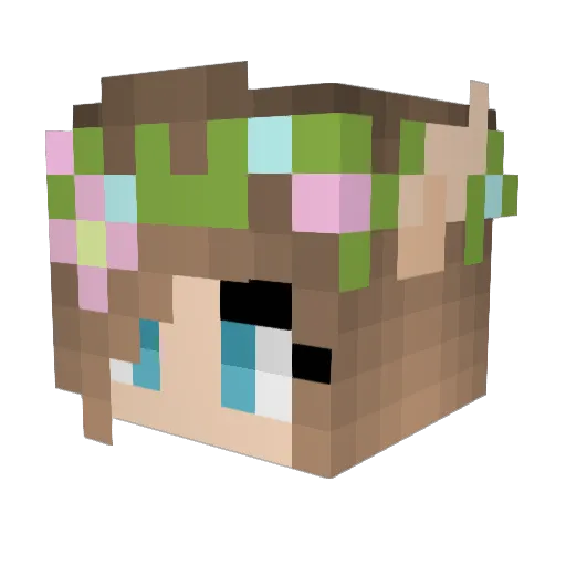 Animals_Forever Minecraft avatar head, 3D render