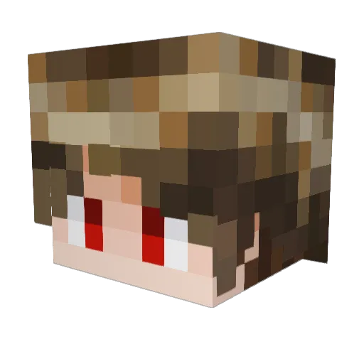 Animaster_Dozie Minecraft avatar head, 3D render