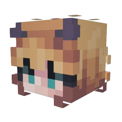 AnimatedMistakes Minecraft avatar head, 3D render