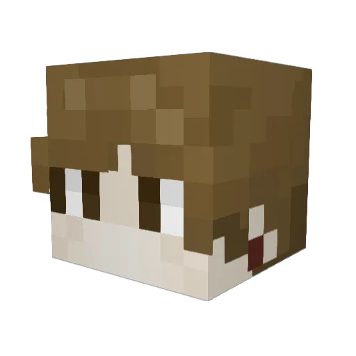 Anime4life1 Minecraft avatar head, 3D render