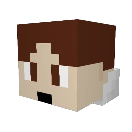 AnimeBark Minecraft avatar head, 3D render