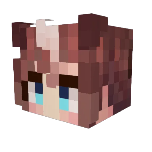 AnimeFanFTW25 Minecraft avatar head, 3D render