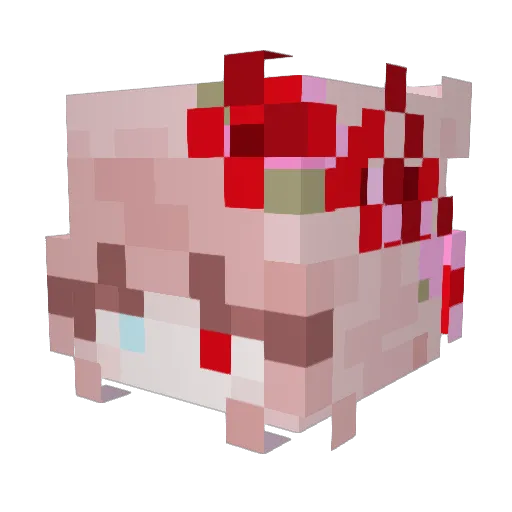 AnimeForLife954 Minecraft avatar head, 3D render