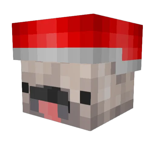 AnimeManMan Minecraft avatar head, 3D render