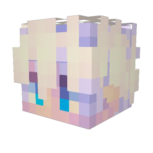 AnimeNerd1113 Minecraft avatar head, 3D render