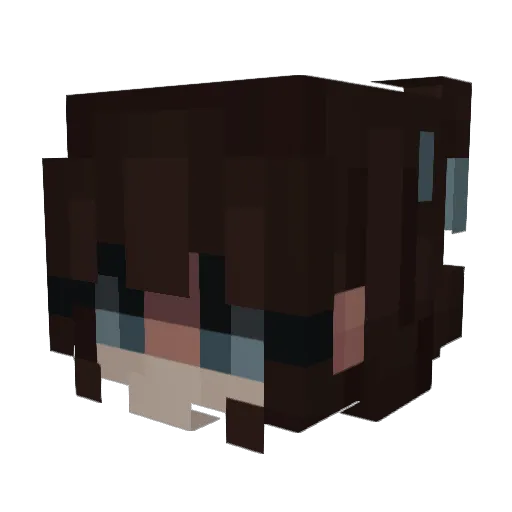 AnimeNightFury Minecraft avatar head, 3D render