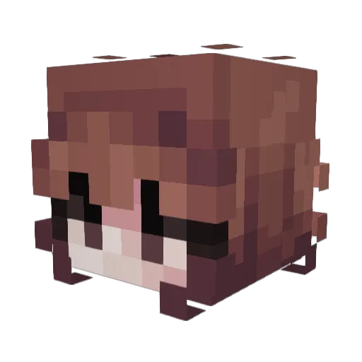 Anime_Tacos Minecraft avatar head, 3D render
