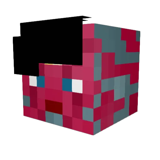 Animebr2 Minecraft avatar head, 3D render