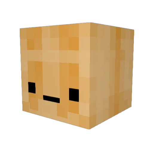 Animeisnotmybae Minecraft avatar head, 3D render