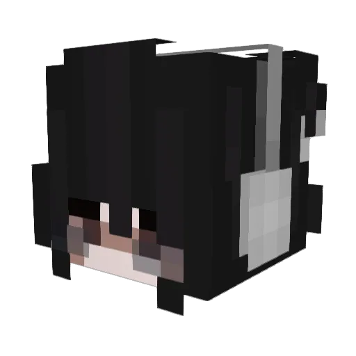 Animeit14 Minecraft avatar head, 3D render