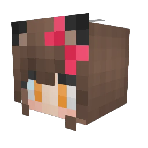 Animenut2002 Minecraft avatar head, 3D render