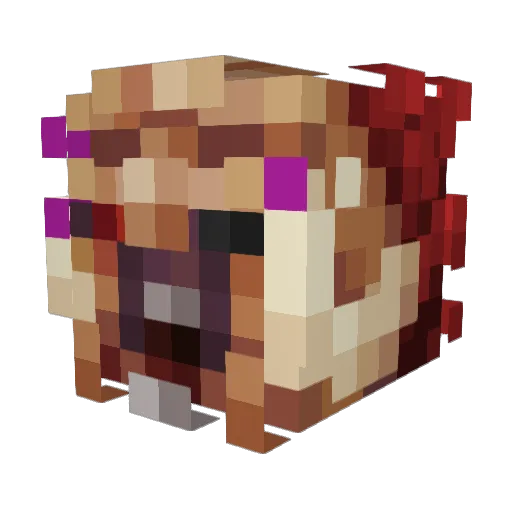 Animepirater Minecraft avatar head, 3D render