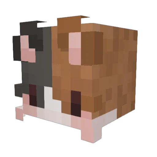 Animestorm4716 Minecraft avatar head, 3D render
