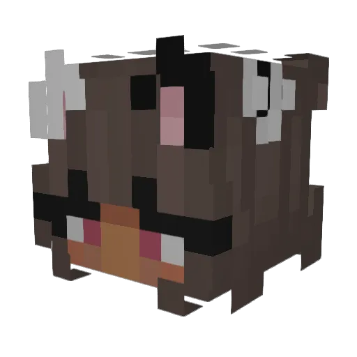 AnimezingNoodle Minecraft avatar head, 3D render