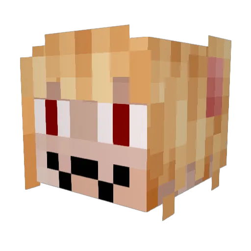 AnimoKills Minecraft avatar head, 3D render