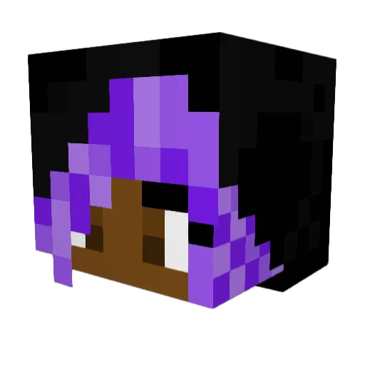 Animon Minecraft avatar head, 3D render