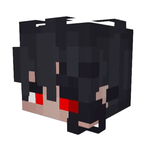 Animosity__ Minecraft avatar head, 3D render