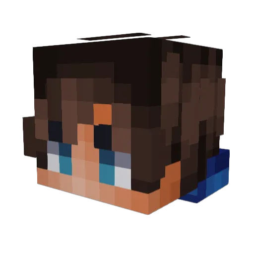 Animox1131 Minecraft avatar head, 3D render