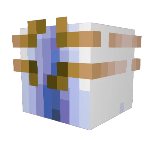 Aninha_Chupaco Minecraft avatar head, 3D render