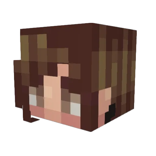 Aninhaka Minecraft avatar head, 3D render