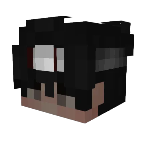 Anioby Minecraft avatar head, 3D render