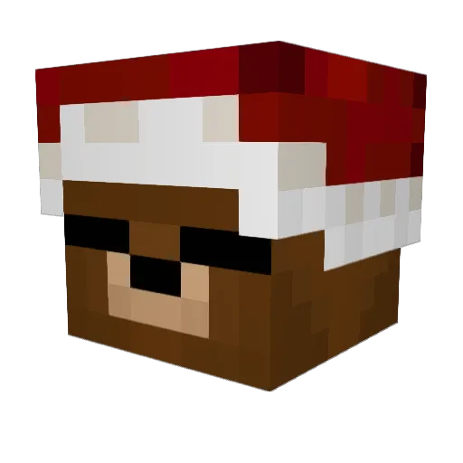 Aniratak5 Minecraft avatar head, 3D render