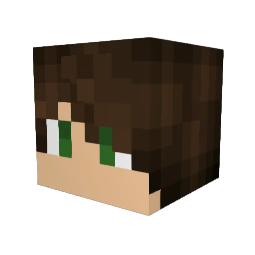 AnirudhC Minecraft avatar head, 3D render