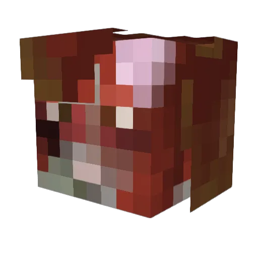 AnisPGM Minecraft avatar head, 3D render