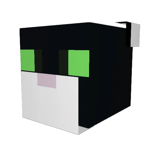 Anisacarp Minecraft avatar head, 3D render