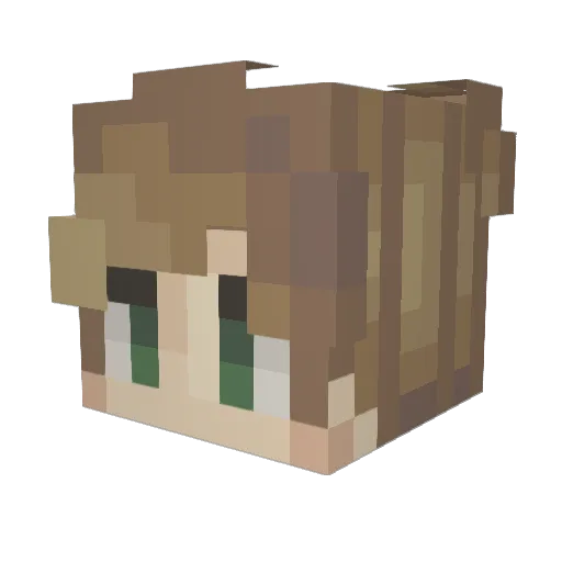 Anistopher Minecraft avatar head, 3D render
