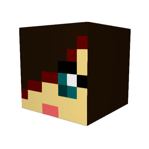 Anita73 Minecraft avatar head, 3D render