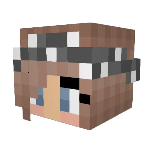 AnitaESP Minecraft avatar head, 3D render