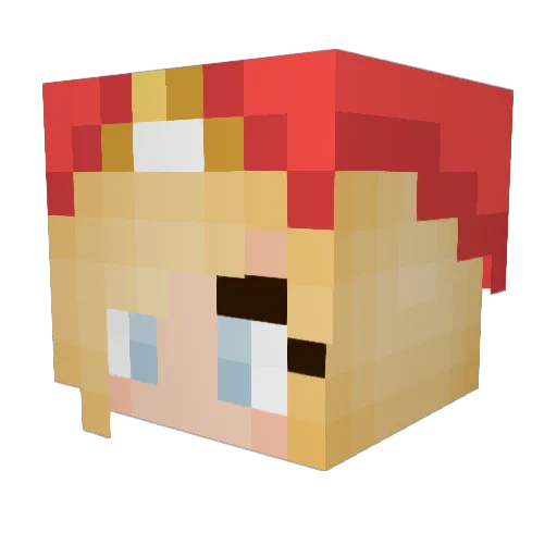 Anita_99 Minecraft avatar head, 3D render
