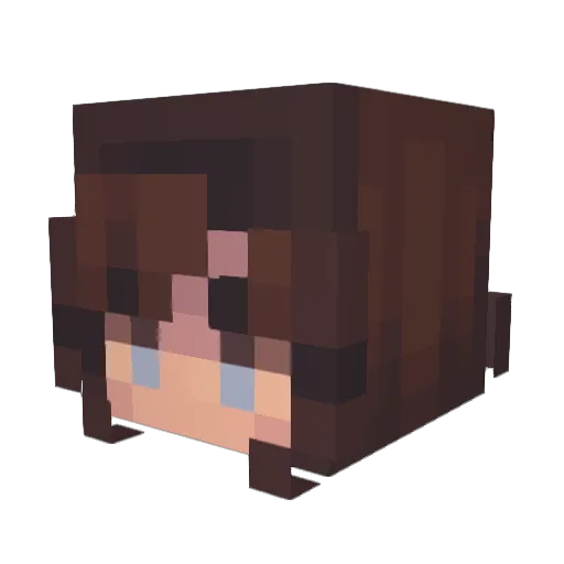 Anita_June Minecraft avatar head, 3D render