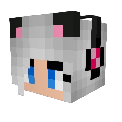 Anitto89 Minecraft avatar head, 3D render