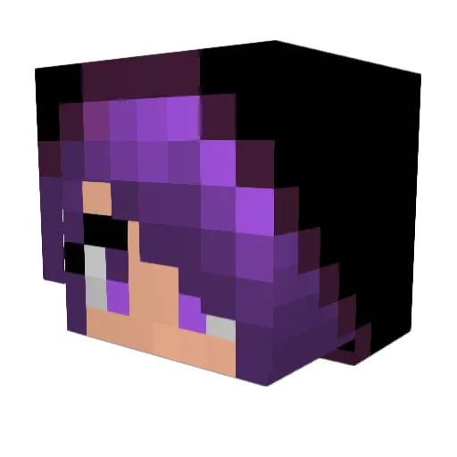 Anity13 Minecraft avatar head, 3D render