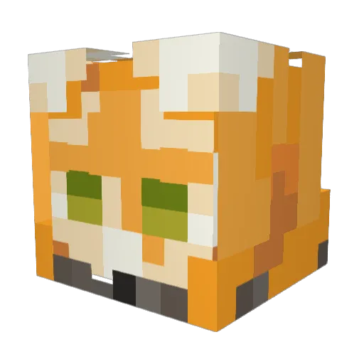 Aniver_sario Minecraft avatar head, 3D render
