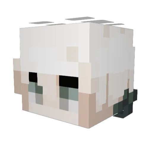 Anivia3000 Minecraft avatar head, 3D render