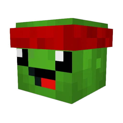 Anixtra Minecraft avatar head, 3D render