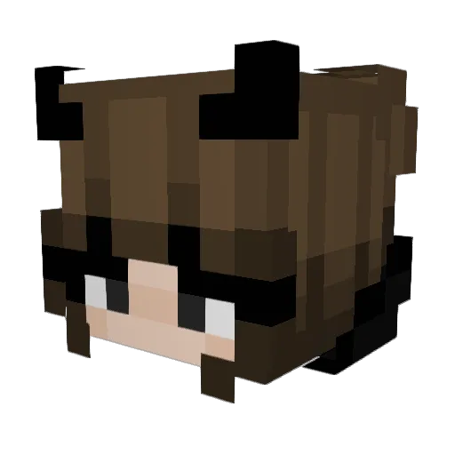 AniyaG1 Minecraft avatar head, 3D render